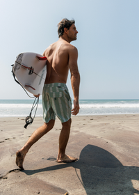 Thumbnail for Boardshorts Vissla Lost Coast 17,5" Coconut Sage