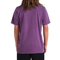 Thumbnail for Camiseta Vissla Solid Sets Roxo